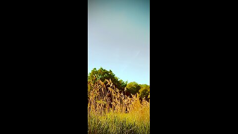 Impressionismus
