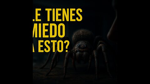“Arañas que te quitarán el sueño: Las más aterradoras del mundo” — o una versión