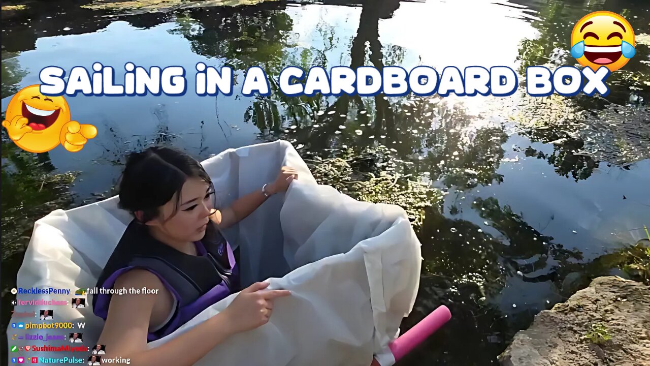 ExtraEmily sails in a cardboard box! 🤣😂