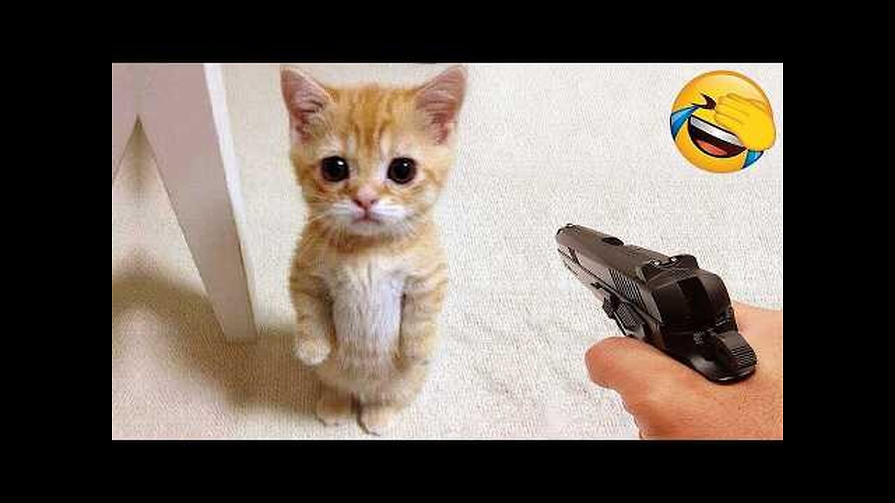 Funniest Cats and Dogs Clip 2025😼🐶Try Not To Laugh😜