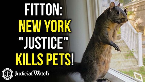 FITTON: NEW YORK "JUSTICE" KILLS PETS!