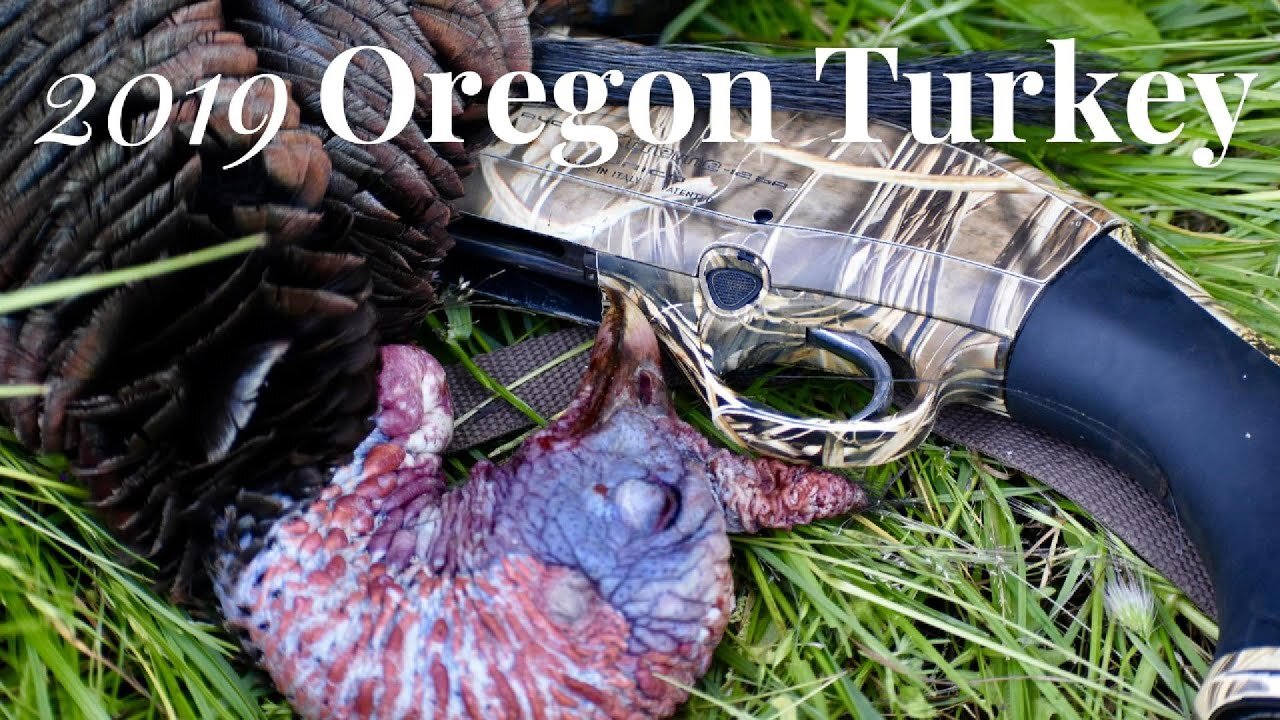 MASSIVE Oregon Turkey Down on the LAST Day | 2019