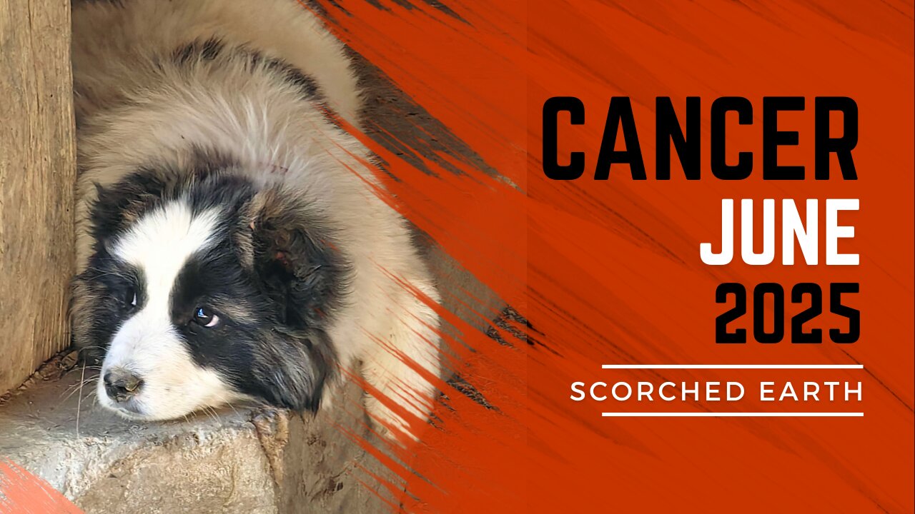 CANCER || JUNE 2025