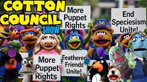 The Cotton Council | More Cotton Rights