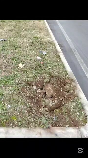 che succede a Magenta?