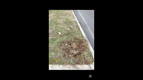 che succede a Magenta?