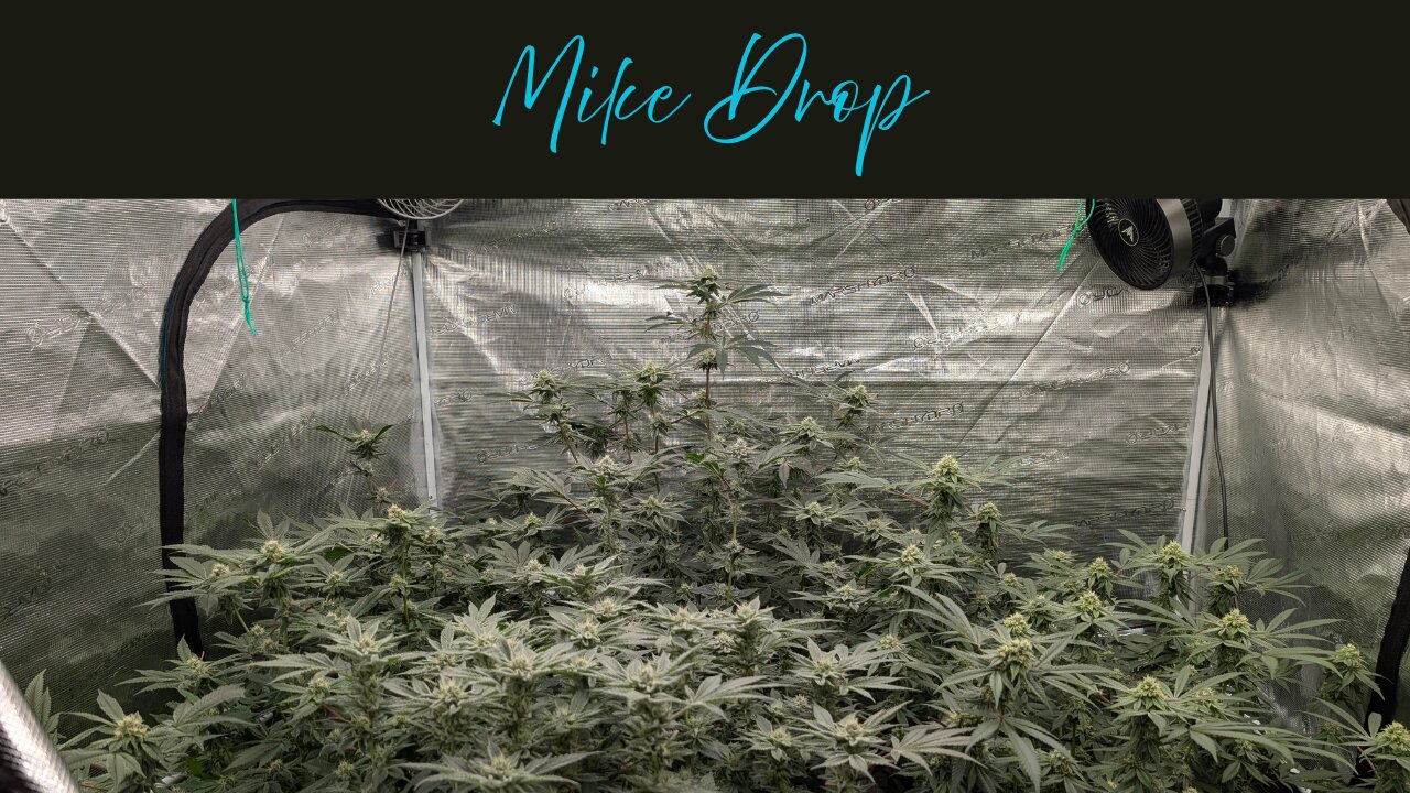 Arizona Grows In Autopots EP8