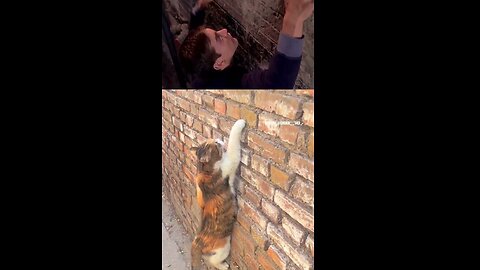 Spiderman, is this you?