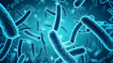 Alex Loglia. "Disease causes germs, germs do not cause disease."