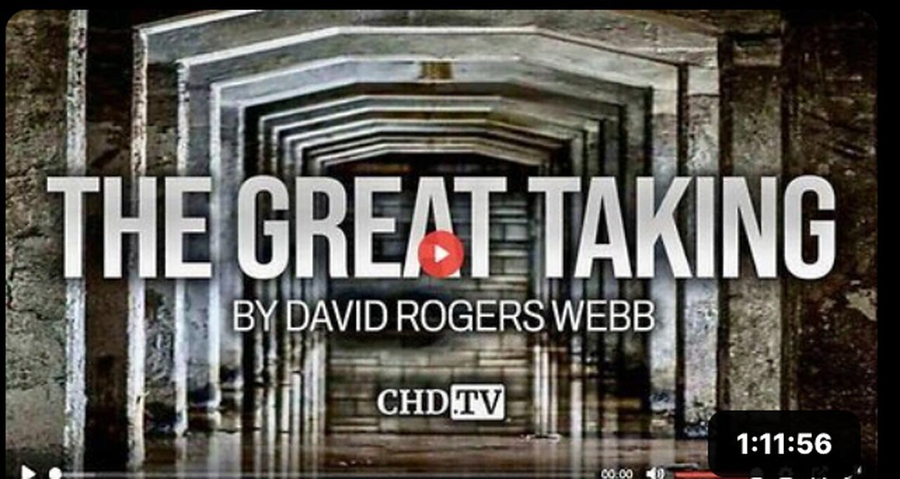 "David Webb's 'The Great Taking' Documentary on Banksters' Strategy to Steal from Everyone"
