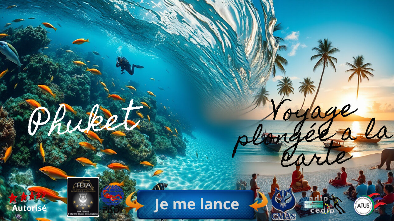 Phuket, le Cœur Battant de la Plongée en Thaïlande, Prêt à Vous Émerveiller