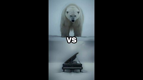 Who Weighs MORE? 🐻🎹🐘🚛🦁🏍️🦛🚙