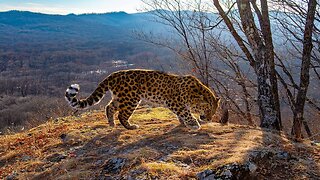 Russia’s Far East: Walk on the Wild Side