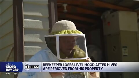 Florida beekeeper loses livelihood after neighbor has 20 beehives removed from his property