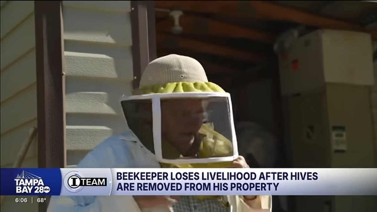 Florida beekeeper loses livelihood after neighbor has 20 beehives removed from his property