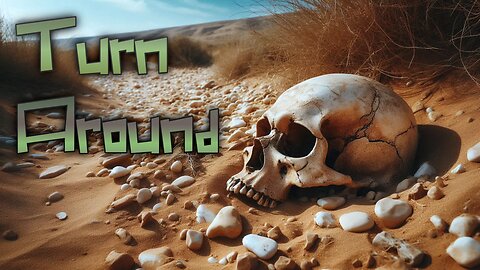 Cover of Turn Around