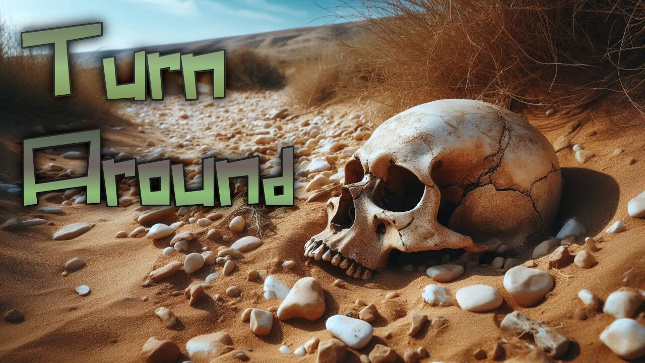 Cover of Turn Around