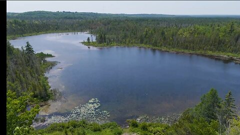 Hamilton Lake in Newberry Michigan