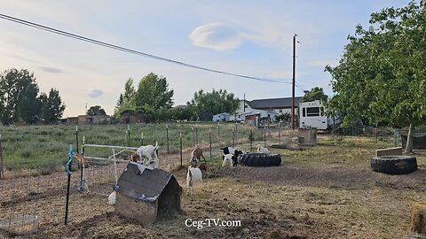 Graham Family Farm NW: 7:25 PM June 25 2025