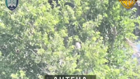 🐜💥 Ukraine Russia War | Ukrainian Wormbusters of 414th UAS Brigade Magyar's Birds Take Out Ru… | RCF