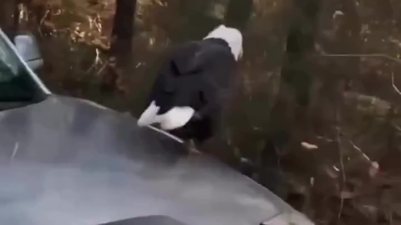 Woe Day 78. I am in the ark. Waiting for GOD to open the Door for a spring/summer Pentecost rapture