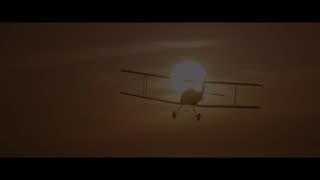 IM MELTING; THE WILDEST DREAM