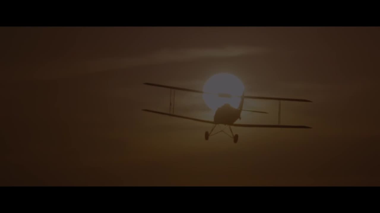 IM MELTING; THE WILDEST DREAM