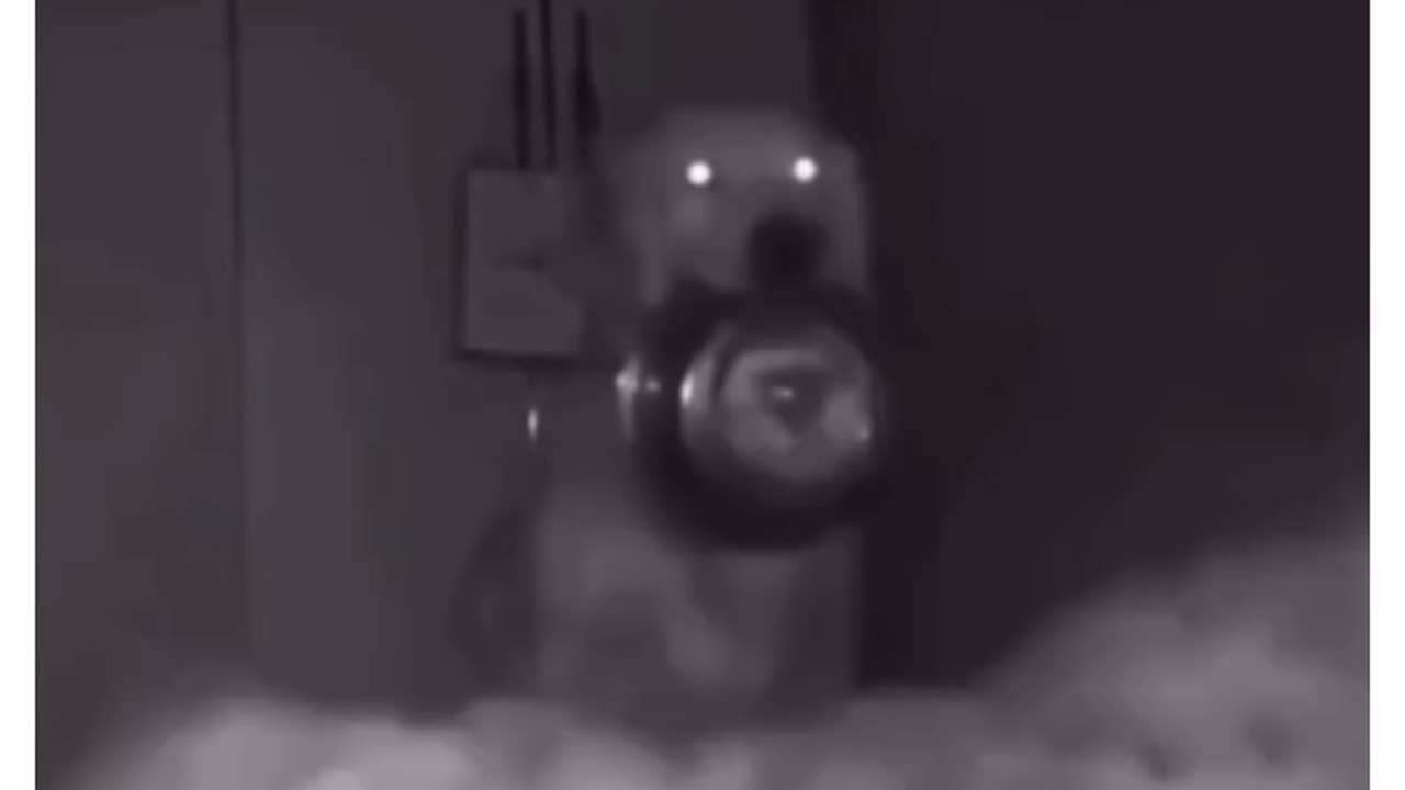 He is hungry 😂