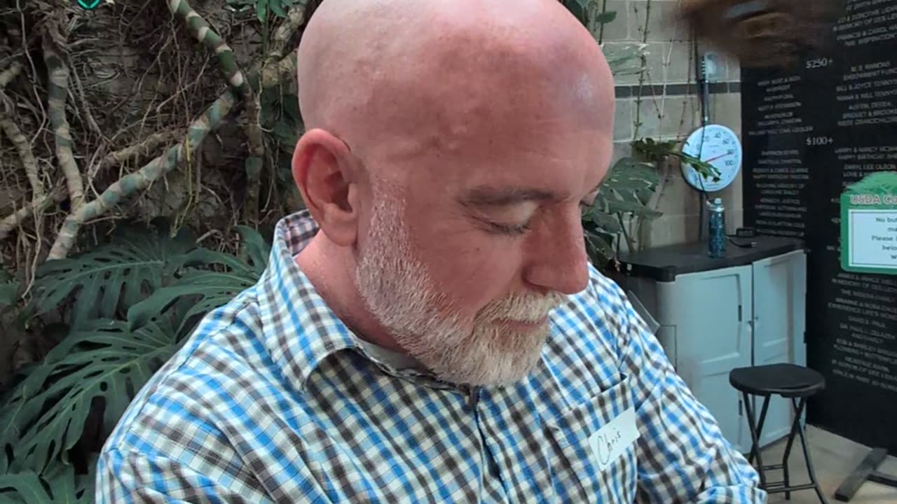 Butterflies Flock to Bald Man's Head