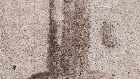 There's something magical about the dirt that washed off the wood