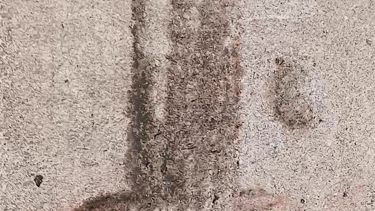 There's something magical about the dirt that washed off the wood