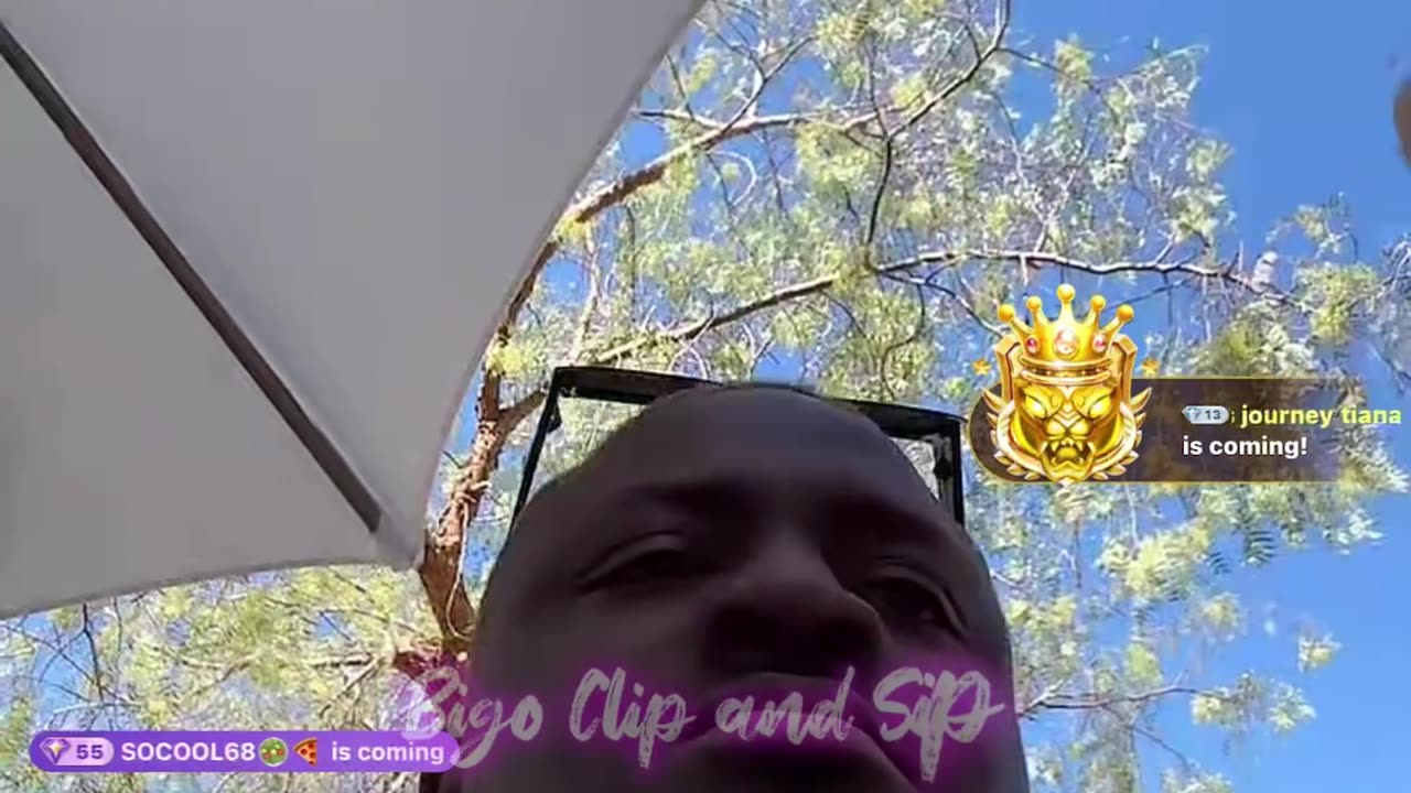 Ace live at Tinkerville Season 2 just hanging out pool side 4/14/25 #bigoclipandsip