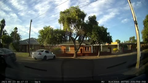 Aussiecams - Out of control FORD hits tree in suburban street 🤦🏼‍♂️