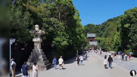 Tsurugaoka Hachimangu Shinto Shrine Kamakura Japan Tour
