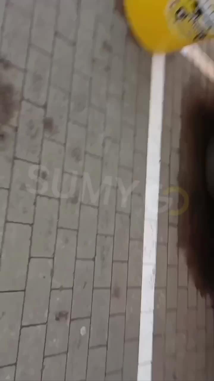 The moment of strike of the Russian UAV "Italmas" in Sumy