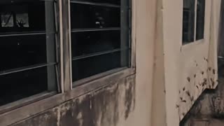 A quien más le asombraba estás casas en películas cuando eran pequeños?