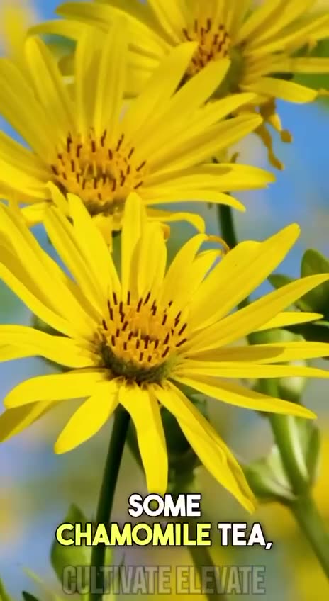 How the rockefellers defunded natural healing,