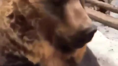 Athrav