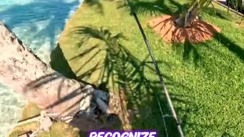 Fishing in the Open Sea – Unexpected Giant Fish Hooked!