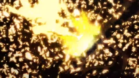 One piece Luffy vs kaido Courtesy call