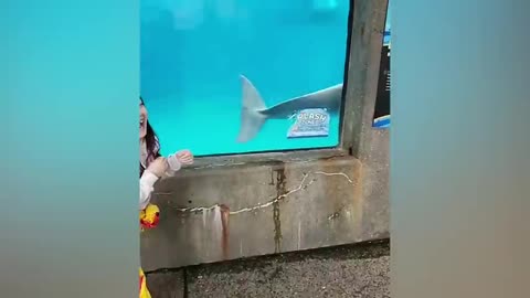 "Our HILARIOUS Weekend at the Zoo 🐒🦁😂 | Animal Fails & Funny Moments!"