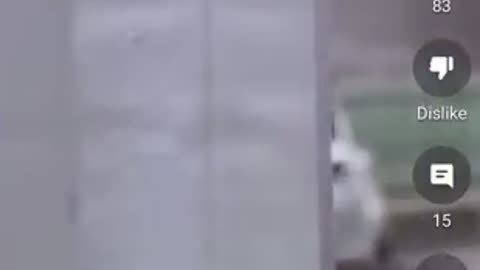 Chinks[USA] Demand State Funding