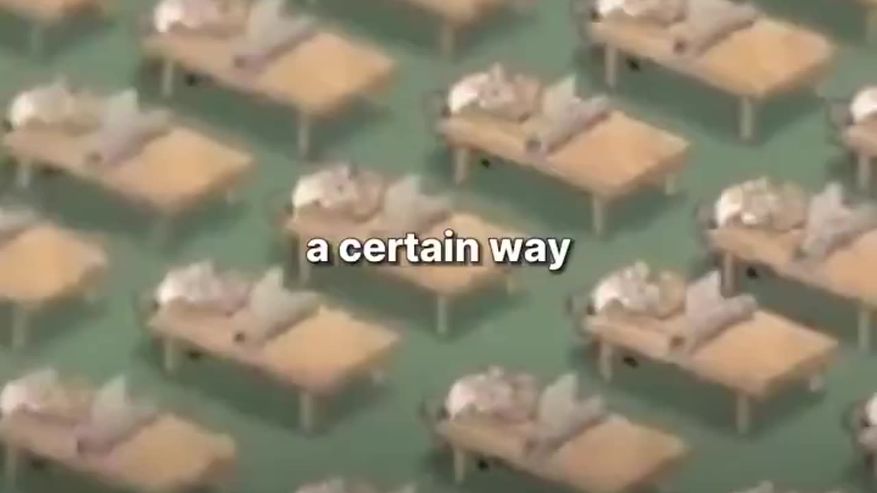 Schools Make You Dumb