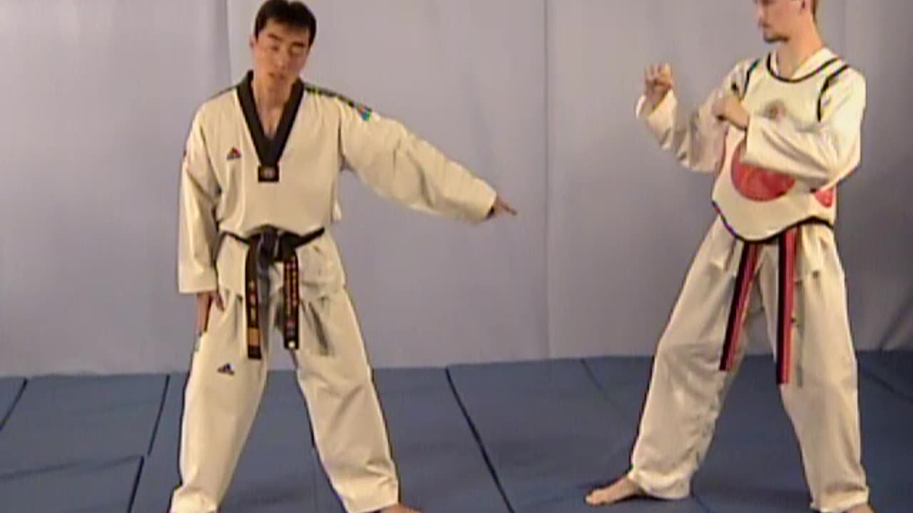 Master Taekwondo Self defense Techniques 2