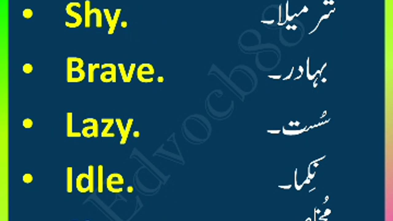 Basic English – روزمرہ کی آسان انگریزی