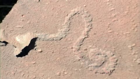 Evidence of Early Alien Contact with Earth