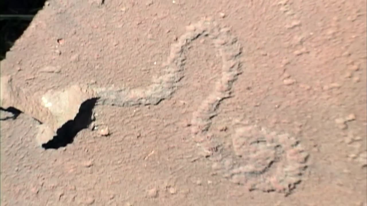 Evidence of Early Alien Contact with Earth