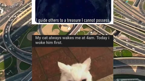 #funny #memes #fyp