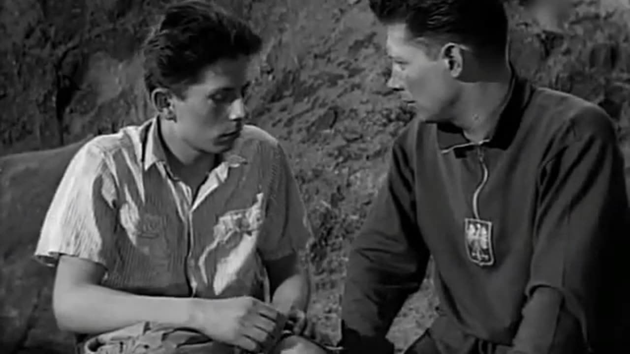 Zaczarowany rower 1955