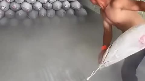 🧊✨ Wait Until You See How Frozen Fish Is Unloaded! | FeedMyCuriosity